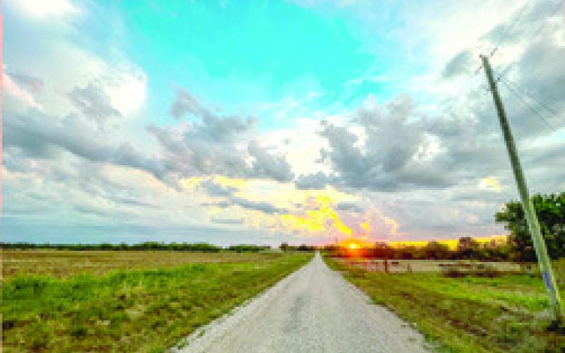 Columbus woman wins photo contest