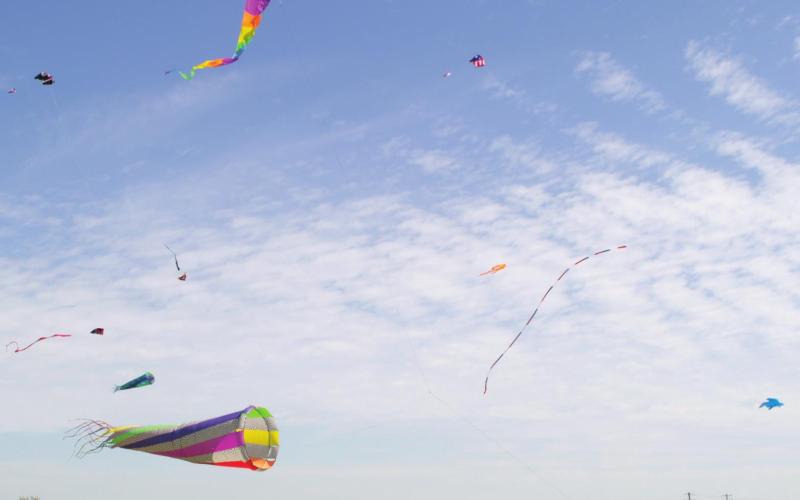 Variety of activities make annual celebration a success