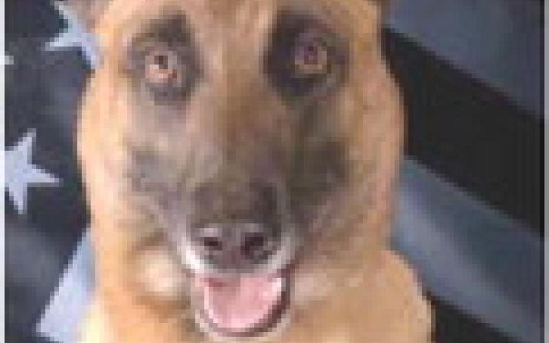 K9 Keo