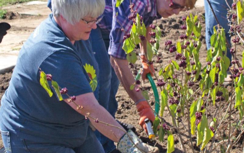 Columbus City Park gets fresh planting by PRIDE group