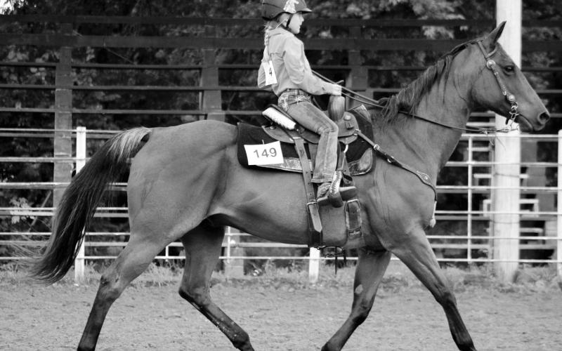 Stetson Danley competed in the Cherokee County Horse Show Saturday, July 12 in the Columbus Saddle Club Arena.
