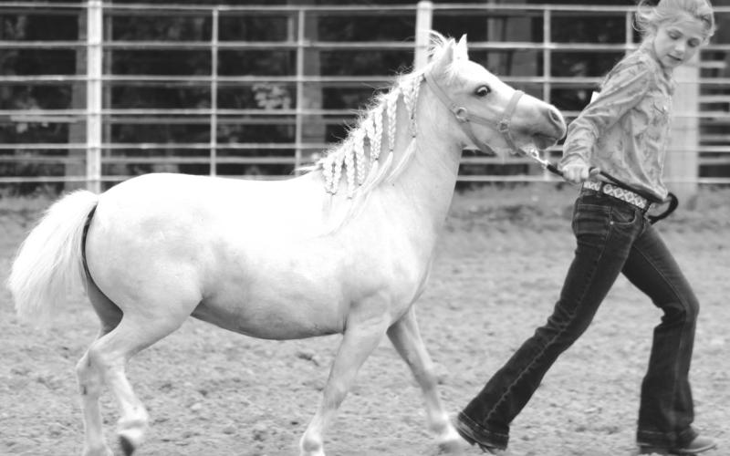 Faith Weaver was one of the competitors in the Cherokee County Annual Horse Show. The Horse Show was held in the Columbus Saddle Club Arena Saturday, July 12.