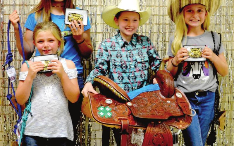 County 4-H scores high in horse series