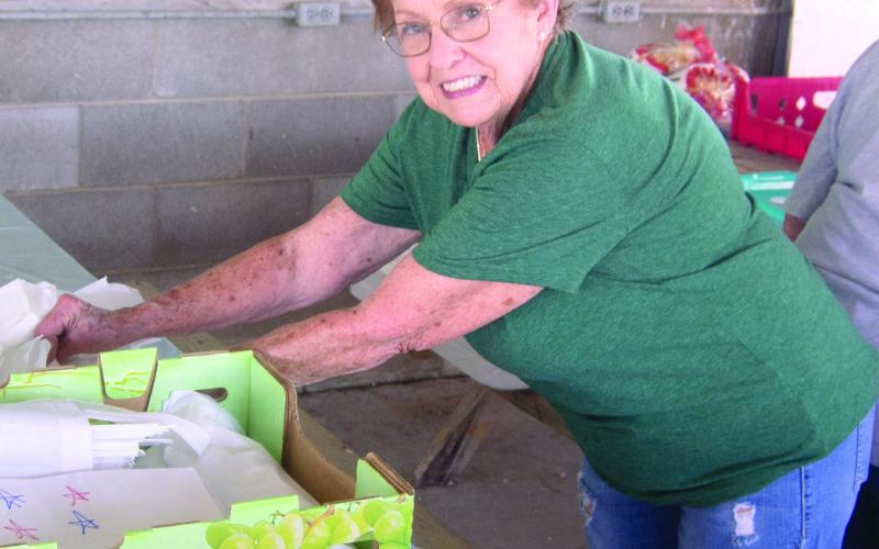 Donna Pace was one of the volunteers working at the luncheon for veterans and first responders.
