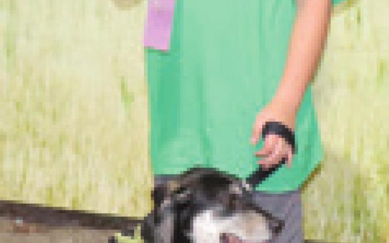 Results announced in 2022 Cherokee County Dog classes