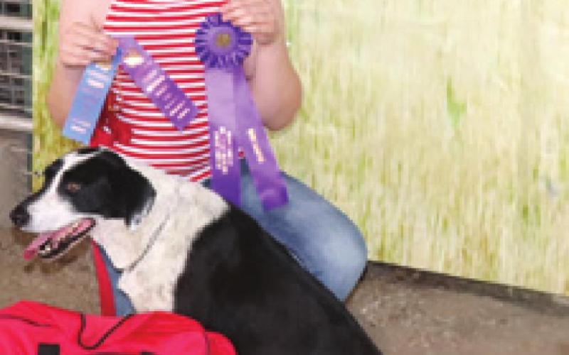 Results announced in 2022 Cherokee County Dog classes