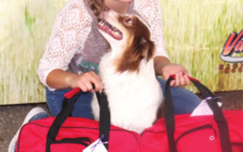 Results announced in 2022 Cherokee County Dog classes