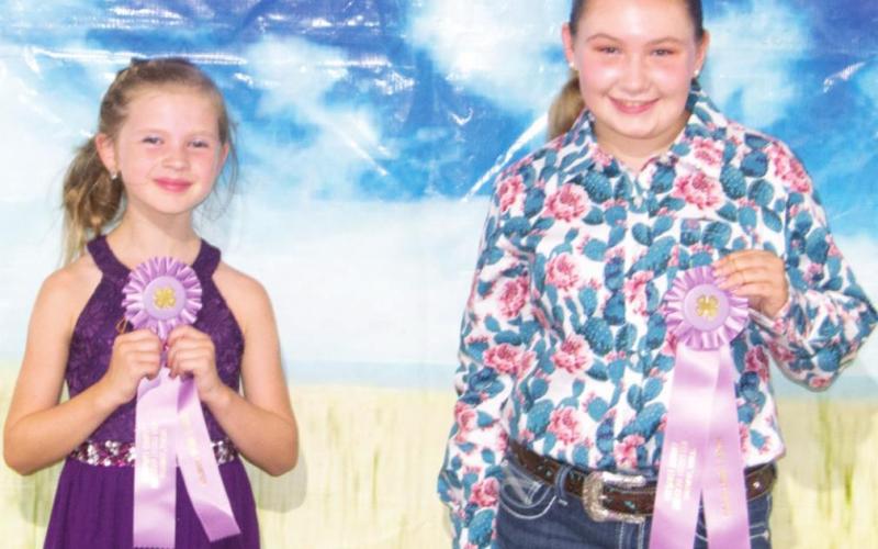 Style Revue Buymanship results announced