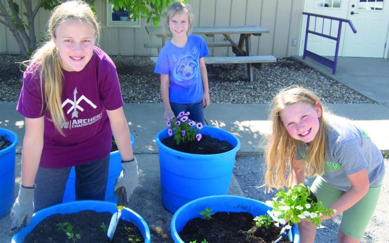 Members of the Cherokee County 4-H Horticulture Club recently spent an afternoon planting pots, planters on the Square and in the Community garden.