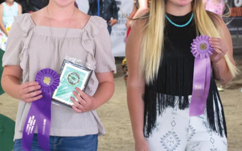 Fashionable 4-H members earn awards for buymanship, construction