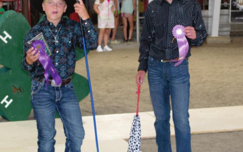 Fashionable 4-H members earn awards for buymanship, construction
