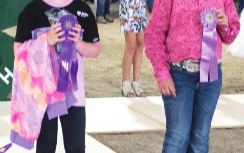 Fashionable 4-H members earn awards for buymanship, construction