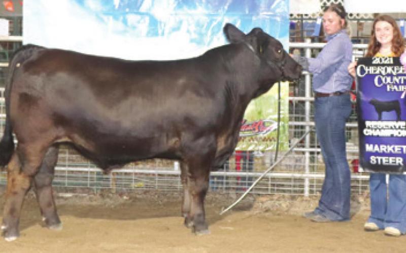 Cherokee County 4-H, Open class beef results posted
