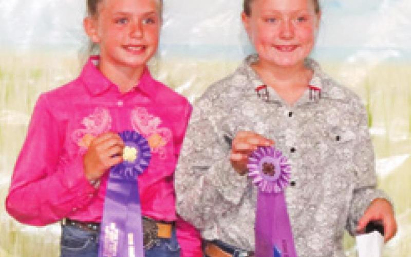 Cherokee County 4-H, Open class beef results posted