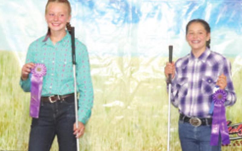 Cherokee County 4-H, Open class beef results posted