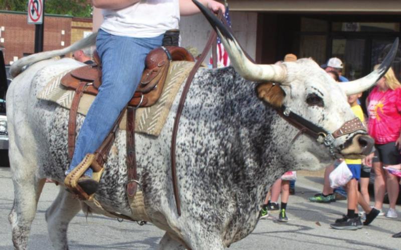 Columbus Day Festival parade features unique entries