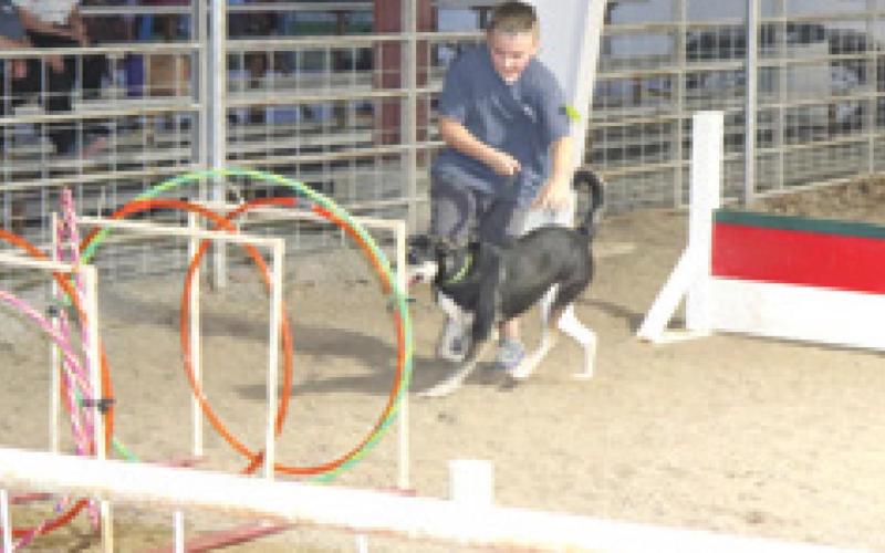 Results announced for Cherokee County 4-H dog show