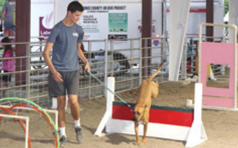 Results announced for Cherokee County 4-H dog show