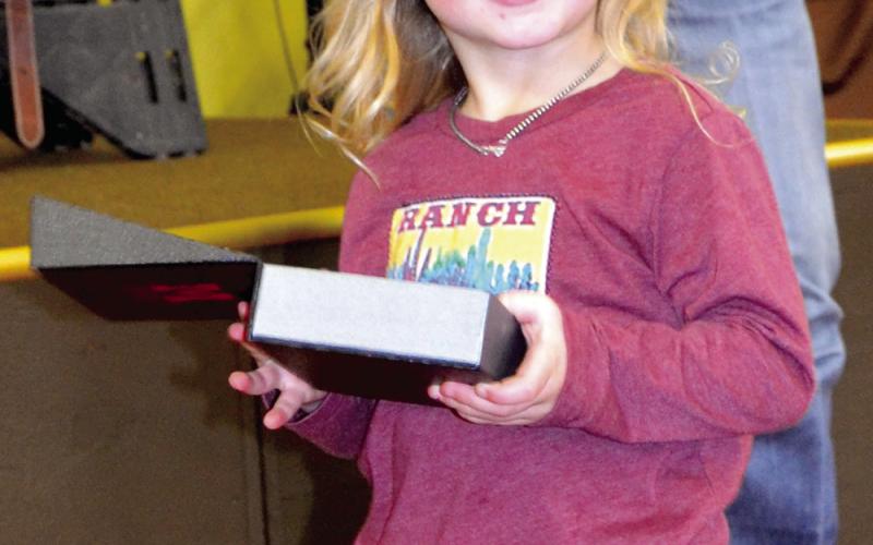 Local youth earn awards in Welch Round-Up Club