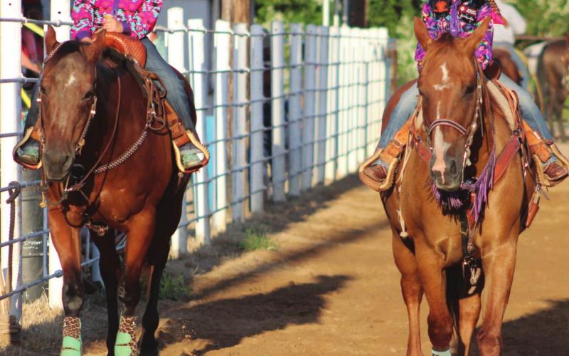 AYRA rodeo action comes to Columbus Saddle Club Arena