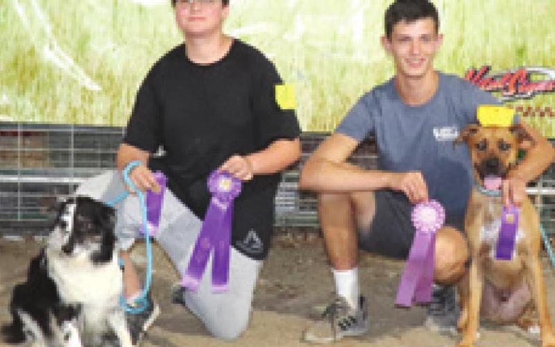 County dog show champions receive ribbons
