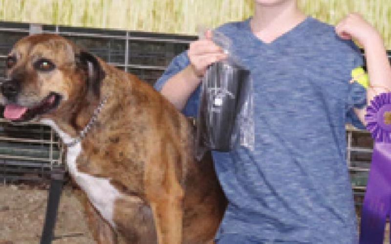 County dog show champions receive ribbons