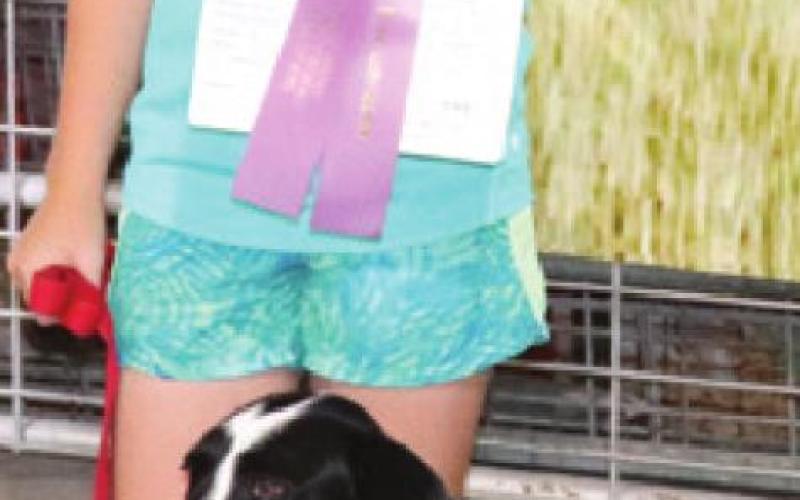 County dog show champions receive ribbons