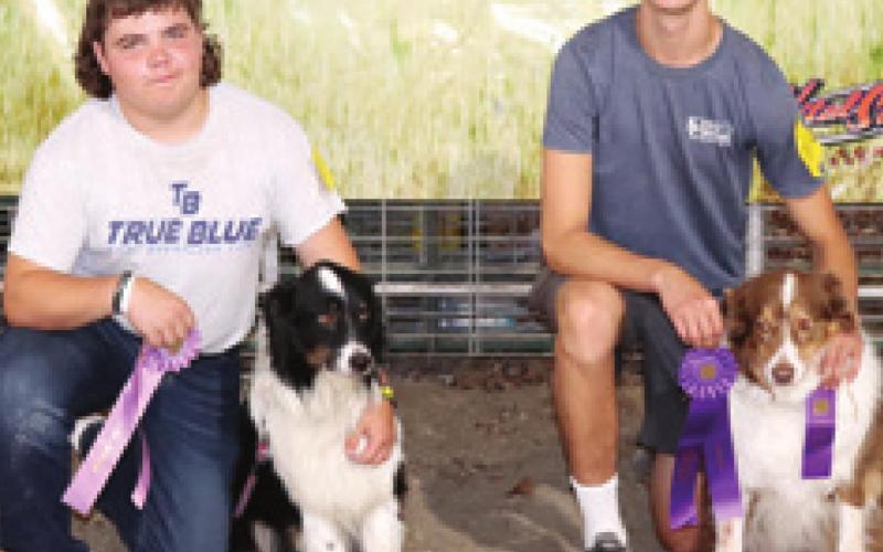 County dog show champions receive ribbons