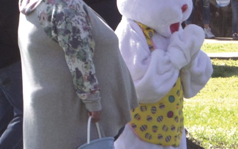 Easter Bunny hops in at Chamber egg hunt