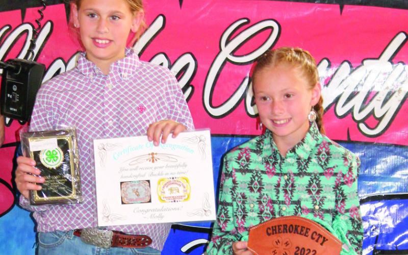 Horse project presents awards at Fair
