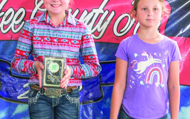 Horse project presents awards at Fair