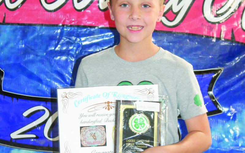 Horse project presents awards at Fair