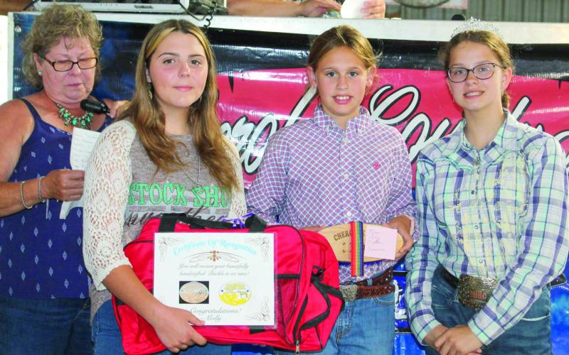 Horse project presents awards at Fair