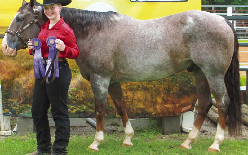 Violet Huddleston shows off two of her Grand Champion ribbons won in the annual Horse Show.