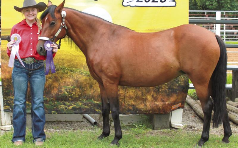 Case Capron participated in the annual Cherokee County Horse Show before Fair Week. She is shown with one of her Grand Champion and one of her Reserve Champion ribbons.