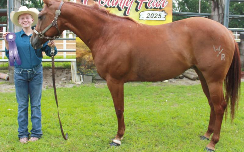 Remington Hermann received a Grand Champion ribbon at the Cherokee County Horse Show.