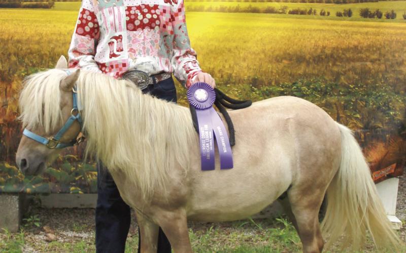 Annaleigh Stark received a Grand Champion ribbon during the Cherokee County Horse Show.