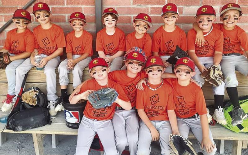 Cal Ripken runner-up teams awarded