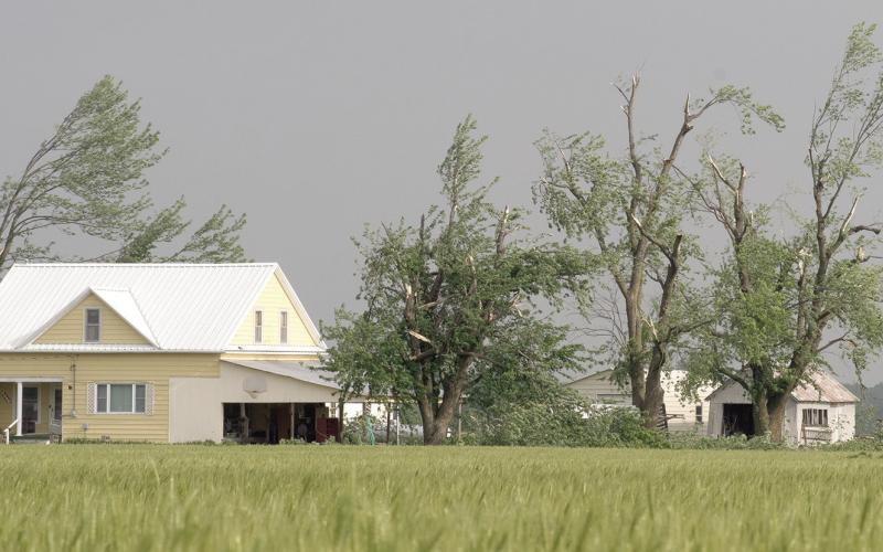 While the house looks to be mostly sound, the tops of the surrounding trees were snapped off and debris could be seen scattered for at least a mile along Highway 160 west of Columbus.