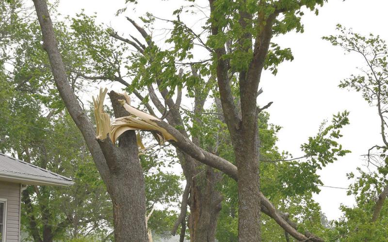 Two tornadoes were reported to have been on the ground near Columbus and despite damage in a number of locations, no injuries were reported. Continued on Page 3