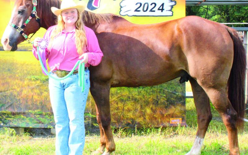 Cherokee County 2024 horse show reserve champions