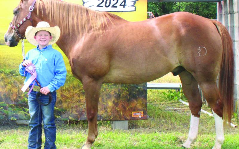 Cherokee County 2024 horse show reserve champions