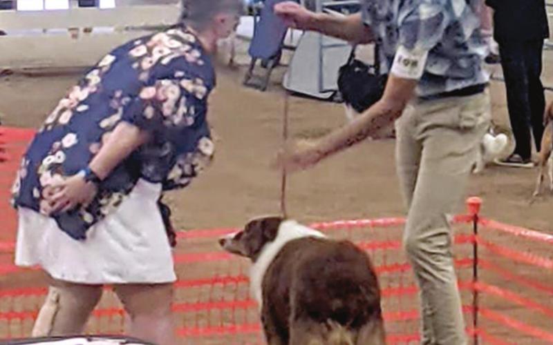 County 4-H members show dogs at state competition