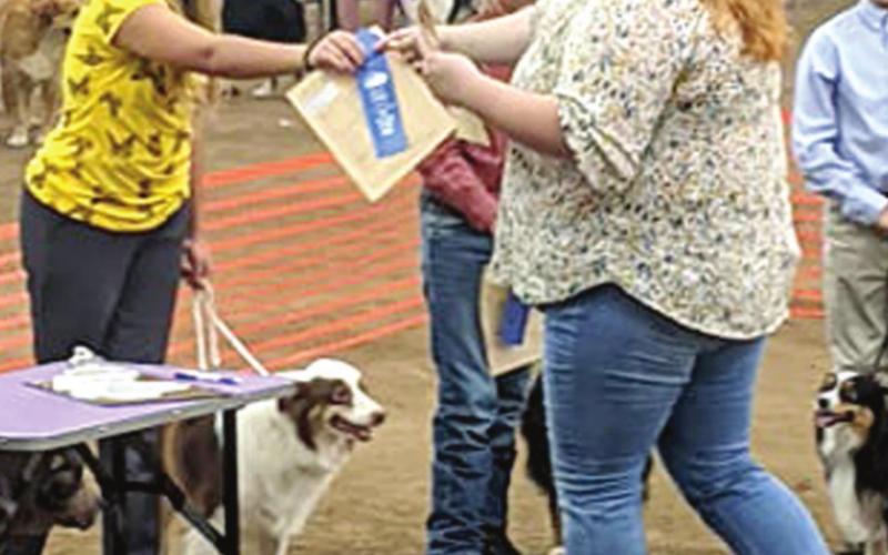 County 4-H members show dogs at state competition