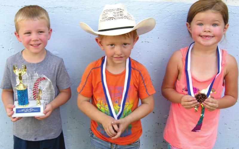 Annual pedal tractor pull has large number of contestants