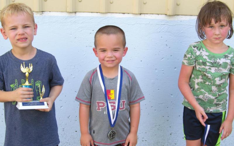 Annual pedal tractor pull has large number of contestants