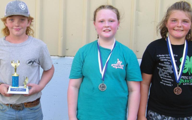 Annual pedal tractor pull has large number of contestants