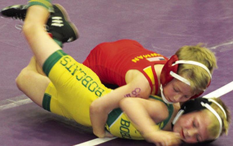 Mini Titans to state tournament