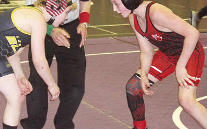 Mini Titans to state tournament