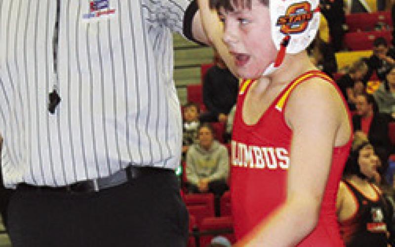 Mini Titans to state tournament